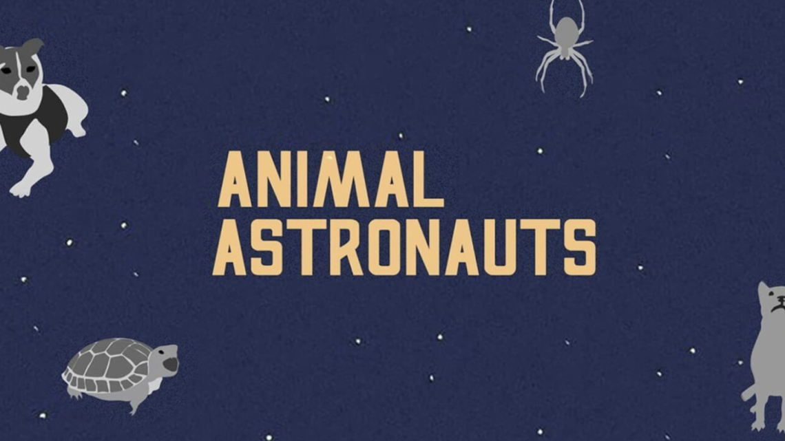 Animals That Have Visited Space InfoGraphic
