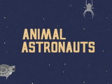 Animals That Have Visited Space InfoGraphic